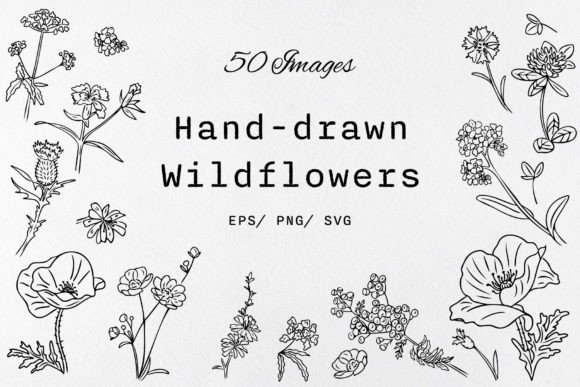 Hand Drawn WildFlowers Clipart Review