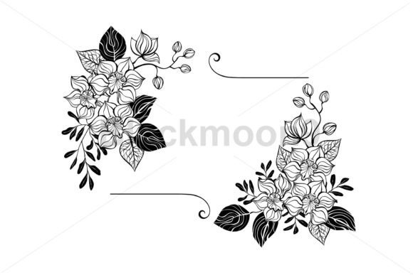 Rectangular Composition with Orchids Review